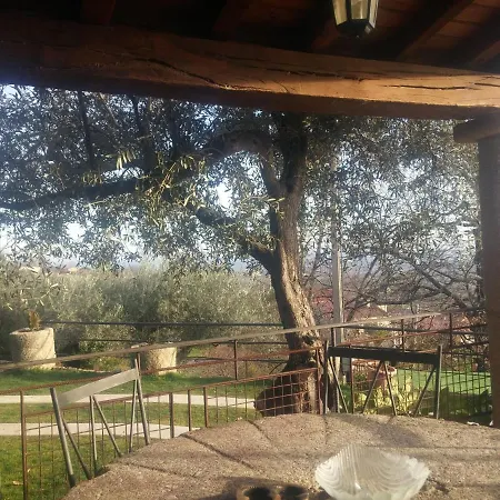 Alpesi faház Casa Calanas